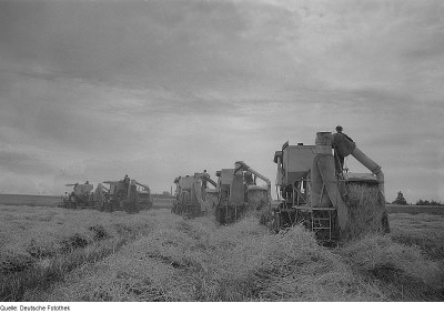 Landwirtschaftliche Produktionsgenossenschaft (LPG) bei der Ernte ca. 1963 IMG